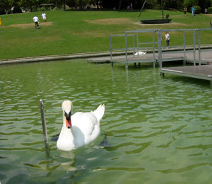 parc de catalunya